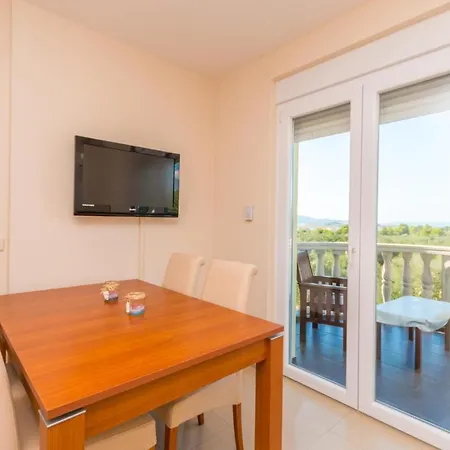 In With Outdoor Swimming Pool Holiday home Turanj